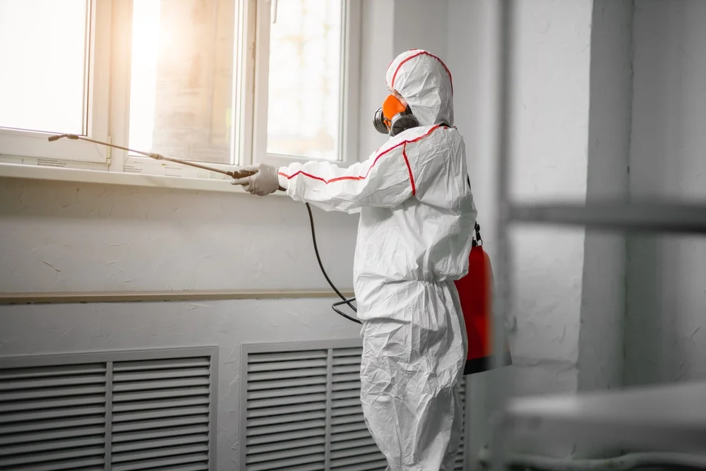 Professional mold remediation services in Pawhuska, OK